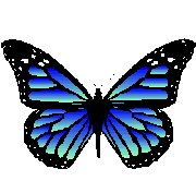 animated_butterfly.gif