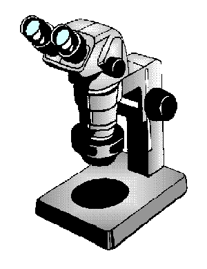 microscope.gif